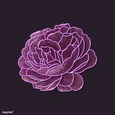 Black Background With Rose Download Premium Illustration Of Purple Neon Rose On A Black Background In 2020 Purple Roses Black Backgrounds Purple Aesthetic