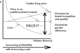 Economies Of Scale Diagram