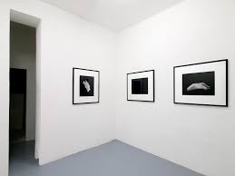 Bildergebnis für Roman Schramm