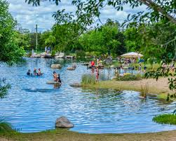 Image result for Woodfordia