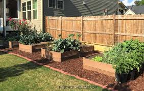 To keep your garden looking pruned and beautiful, you're going to need to invest in a few tools — these will help to make your gardening experience much easier. Vegetable Gardening At Home For Beginners Pinch Of Seeds