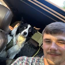 Getting started with UFC sports cards?