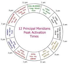 Reiki 12 Primary Meridians Chinese Medicine Traditional
