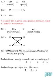 Check spelling or type a new query. Hereditas Erike Persilangan Monohibrid
