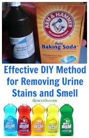 Sweat we've learned the hard way, carpets can also take on the smell of their sweaty human owners and pets—especially in favorite lounge areas like in front of the television and at the foot of that great bay window. Effective Diy Method For Removing Urine Stains And Smell Recipe Cleaning Hacks Cleaning Recipes Cleaning