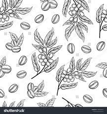 Seamless Pattern With Coffee Tree Branches With Leaves And Beans Coffee Grains In Graphic Style Hand Drawn Vector Illus Illustration Leaf Drawing Coffee Tree