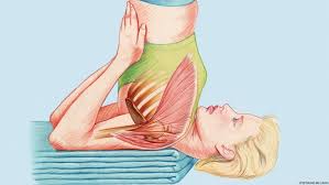 The forward roll is started from a standing position and then the gymnast crouches down, places their hands shoulder wide apart and hands facing forward. Keep The Neck Safe In Shoulderstand