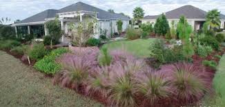 Transformation From Turf To Florida Native Plants Thevillages Florida Native Plants Native Plants Native Garden