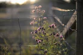 Check spelling or type a new query. 10 Poems For Loss Grief Consolation Transactions With Beauty