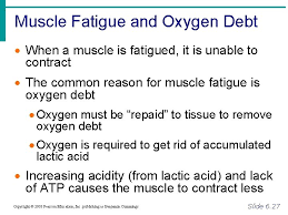 The Muscular System The Muscular System Muscles Are