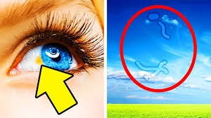 12 Scary Things Your Eyes Say About Your Health Eye Health Facts Eye Sight Improvement Eye Health