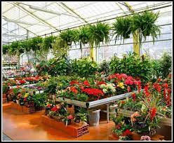 Gardening Is Simple Using The Right Information Special Garden Design Plant Nursery Garden Center Garden Projects