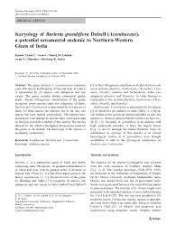 Image result for Barleria grandipetala