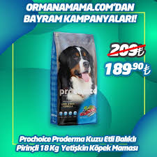 18 Kg Prochoice Proderma Kuzu Etli Balikli Pirincli Yetiskin Kopek Mamasi
