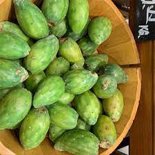 Small green now but i am patient and eager to try these! Green Cactus Pears Information And Facts