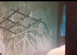 A museum displayed what it thought was a wax figure for 50 years — until a  new curator in 2025 discovered it was actually a missing man...The smell  was the first thing