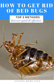 How To Get Rid Of Bed Bugs Quickly Effectively Top 3 Methods Rid Of Bed Bugs Bed Bug Remedies Bed Bugs Treatment