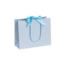 Pack of ... Small Landscape Light Blue Paper Gift Bags With Rope Handles  and Ribbon | Tiny Box Company