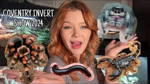 Pterinopelma sazimai Blue Tarantula // Iridescent blue tarantula // care  and Husbandry