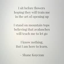 I Sit Before Flowers Hoping They Will Train Me In The Art Of Opening Up I Stand On Mountain Tops Believing That Avalanches Wil Shane Koyczan Know Nothing Words