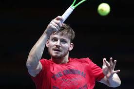 See the complete profile on linkedin and discover david's connections and jobs at similar companies. David Goffin Looking To Cap Terrific End Of Season With Davis Cup Tennis News India Tv