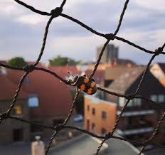 We did not find results for: Braunburstige Hosenbiene Bei Der Arbeit Naturfreunde