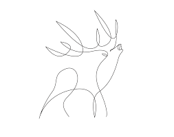 M h m line art tatto. Minimal Elegant One Line Drawings Illustrate The Magnificence Of Wild Animals Designtaxi Com Animal Line Drawings Simple Line Drawings Line Art Drawings