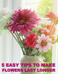 Simply remove your flowers from the vase and spray holding the can several inches away. How To Make Flowers Last Longer With These Tips