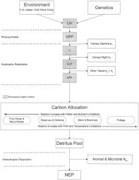 Carbon Cycle An Overview Sciencedirect Topics