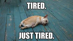 26 Posts Every Pregnant Women Is Going To Want To See Funny Animal Videos Fishing Humor Fishing Memes