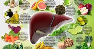 Linee guida generali essendo la steatosi e la steatoepatite associate ad alterazioni del metabolismo del glucosio e dei lipidi, all'obesità e a una ridotta sensibilità delle cellule dell'organismo all'azione dell'insulina, gli obiettivi nutrizionali sono mirati La Dieta Per Il Fegato Grasso
