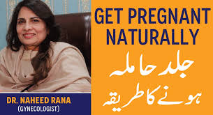First trimester of pregnancy tips urdu hindi hamal ke pehle teen maah top gynecologist duration. Six Things To Do To Boost Fertility And Have A Healthy Baby