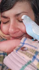 Conure pictures and names from owners