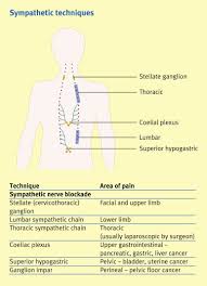 The Role Of The Sympathetic Nervous System And Pain Anaesthesia Intensive Care Medicine