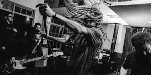 Life Pilot, Seek Misery