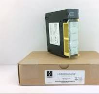 HORNER AUTOMATION HE693DAC410