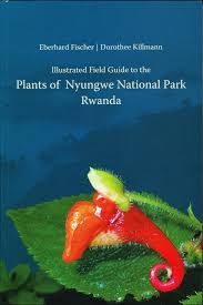 Image result for Disperis reklieberae