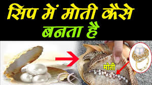 Menurut pelakon love elsa itu, dia terdengar bunyi yang sangat kuat dan men4kutkan namun pada awalnya dia tidak menghiraukan sehinggalah dimaklumkan oleh pemandu lain. Car Horn Honking Sound Effect 5 Youtube