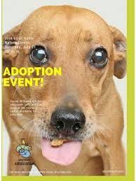 Young Williams Animal Center