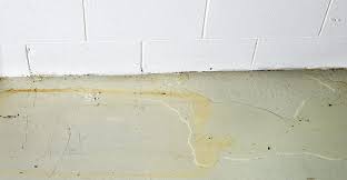 Leak detection & emergency plumbing. Slab Leak Detection Repair In Mesa Phoenix Az Compton Plumbing