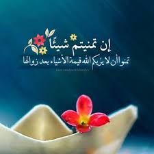 الإنس ان إذا سل م قلبه م ن الحقد على الناس و سل م لسانه من الخوض ف ي أعراضهم كان أدع ى أن Beautiful Arabic Words Mixed Feelings Quotes Feelings Quotes