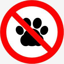No Pet Forbidden Sign No Icons Sign Icons Pet Icons Png Transparent Clipart Image And Psd File For Free Download Geometric Pattern Background Chandler Friends Background Banner