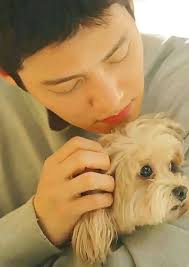 Ji chang wook-지창욱