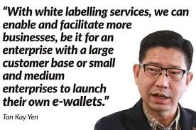 A sdn bhd company is a private company which is limited by shareholding. Kiplepay Brings Forth White Label E Wallets The Star