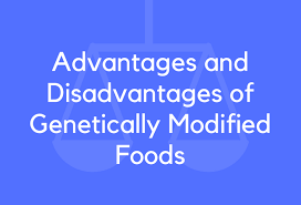 I recommend that you read these 23 statistics on genetically modified crops that support some of these pros and cons. 21 Advantages And Disadvantages Of Genetically Modified Foods Brandongaille Com