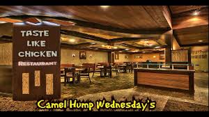 Camels store energy in their humps for the times when food did you know that camel traders (people who buy & sell camels) determine the health of camels for correction these camels were meant to have humps just like us humans and yes they were created. Taste Like Chicken Camel Hump Wednesday S Youtube