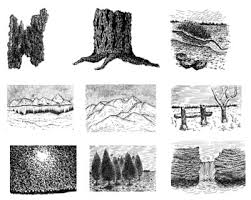 Now, draw some bushes, and then draw some foothills off to the left like you see here. Learn To Draw Pen And Ink Landscapes Pen And Ink Drawings By Rahul Jain