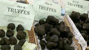 Truffles Take Root In Appalachian Soil Truffles Stuffed Mushrooms Weird Food