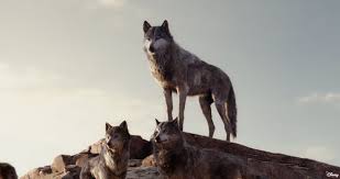 Disney S The Jungle Book 2016 Disney Thejunglebook Akela Jungle Book Jungle Book 2016 Jungle Book Movie