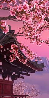 Search for a wallpaper you like on wallpapertag.com and download it clicking on the blue download. Anime Cherry Blossom Wallpaper 4k Iphone Novocom Top